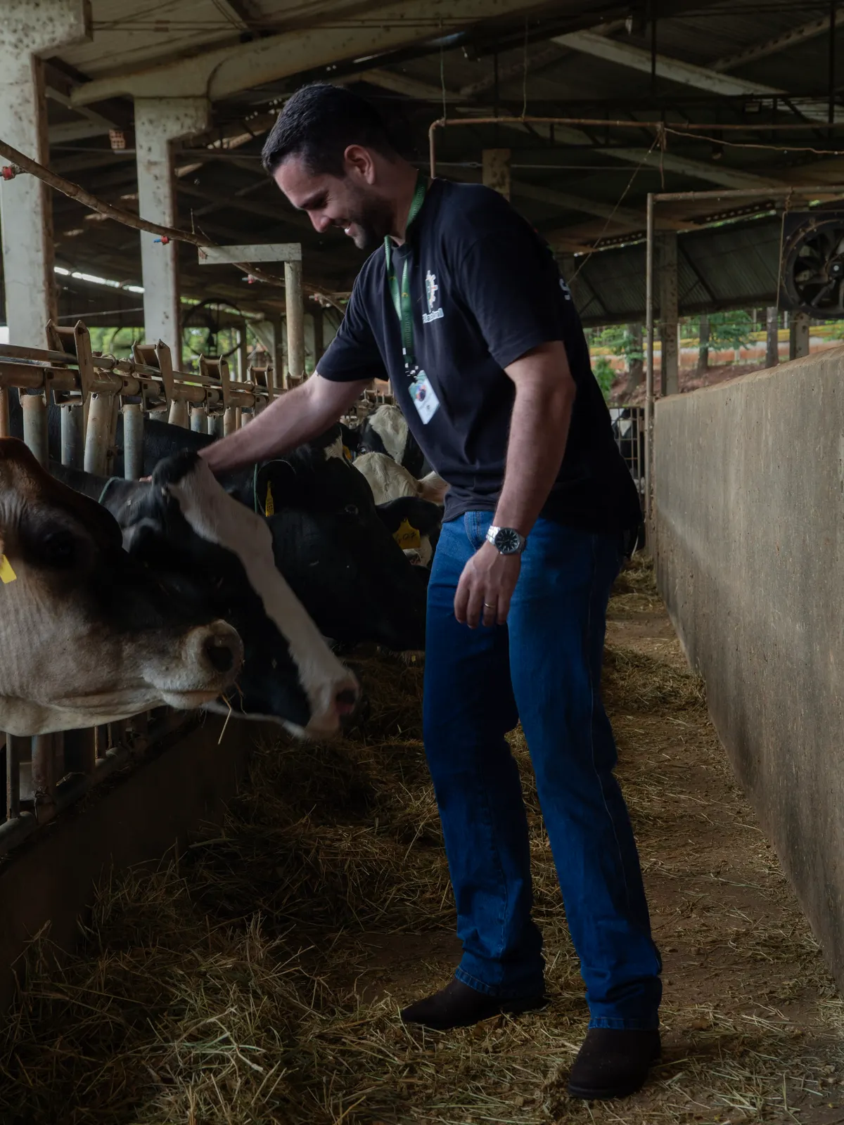 Visita técnica em estábulo de gado leiteiro